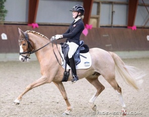 Maya Leisted Grønbech on Giotto N competing at a national show in Denmark in February 2023 :: Photo © Ridehesten