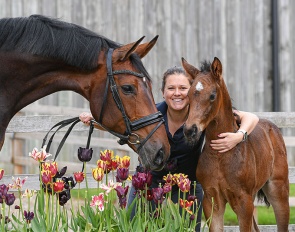 Emma Blundell with flagship mare Mount St John Freestyle and her embryotransfer foal by Glamourdale