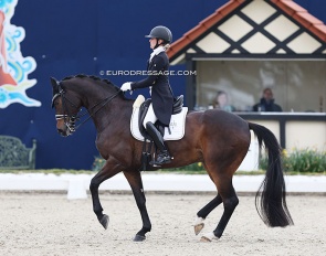 German U25 rider Felicitas Hendricks  and Drombusch at the 2023 CDI Hagen :: Photo © Astrid Appels