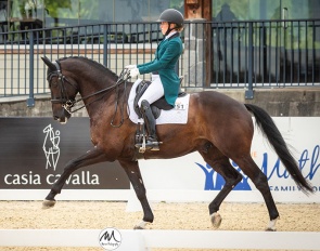 Erin Silo and Jett at the CDI3* A Touch of Class Dressage competition in Langley, B.C., Canada :: Photos © Marion Cox