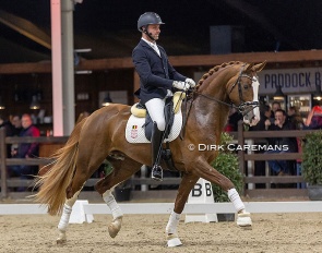 Domien Michiels and Sunnyboy van de Kempenhoeve at the 2023 BWP Stallion Show in Lier :: Photo © Dirk Caremans