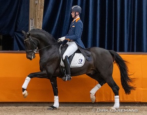 Diederik van Silfhout and Impression in the stallion show at the 2021 KWPN Stallion Licensing :: Photo © Dirk Caremans