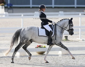 Sissi Gijsen on New Star at the 2022 CDIO Compiegne :: Photo © Astrid Appels