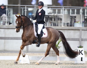 Veronica Pawluk on D'Artagnan at the 2022 CDI Opglabbeek :: Photo © Astrid Appels
