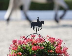 Wanted: Experienced Quality horse for international FEI rider :: Photo © Astrid Appels