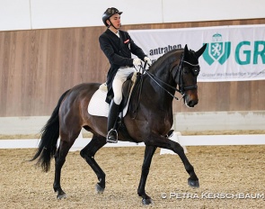 Jonas Frick and Juno at the first team selection trial at the CDI Gossendorf :: Photo © Petra Kerschbaum