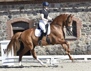 Merita Hagren on Alkaline at the Danish WCYH team selection trial :: Photo © Ridehesten
