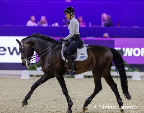 Klimke schooling Franziskus at the 2023 World Cup Finals in Omaha :: Photo © Stefan Lafrentz