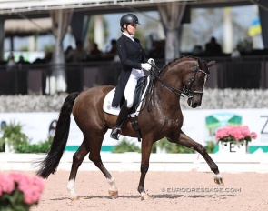 Mary Haskins Grey and Don Divone at the 2023 CDI Wellington :: Photo © Astrid Appels