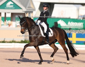 Felicitas Hendricks and Drombusch at the 2023 CDI Wellington :: Photo © Astrid Appels