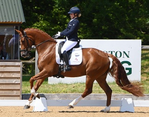 Amy Woodhead on MSJ Viva Dannebrog at the 2023 CDN Wellington Heckfield :: Photo © Kevin Sparrow