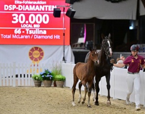 Tsulina at the 2023 DSP Foal Auction in Darmstadt :: Photo © Björn Schroeder.