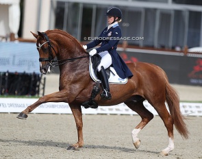 Jeanna Hogberg and Lorenzo at the 2021 European Championships :: Photo © Astrid Appels