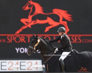 St. Athletique, winner of the 4-year old challenge at the 2022 World Young Horse Championships :: Photo © Astrid Appels