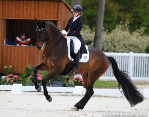 Luca Collin on Ferrero at the 2023 CDIO Compiègne :: Photo © Astrid Appels