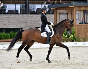 Maté Garai and Galleria’s Vincent Maranello at the 2023 CDI Crozet :: Photo © Les Garennes
