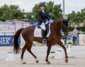 Carmen López García (Grade III) on Bribon de Ymas :: Photo © Lily Forado