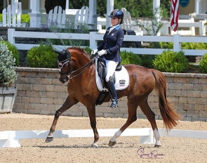 Cynthia Screnci and Sir Chipoli are the 2023 U.S. Para Dressage Championships :: Photo © Sue Stickle