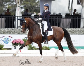 Shannon Dueck and Angelika MW at the 2023 CDI Wellington :: Photo © Cealy Tetley