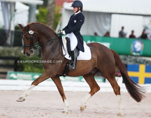 Codi Harrison and Katholt's Bossco at the CDI Wellington :: Photo © Astrid Appels