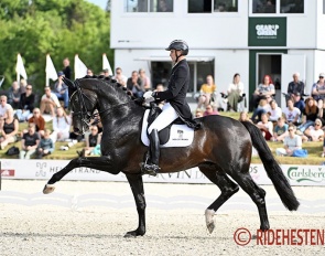 Andreas Helgstrand and Jovian at the 2023 Danish Dressage Championships in Uggerhalne :: Photo © Ridehesten