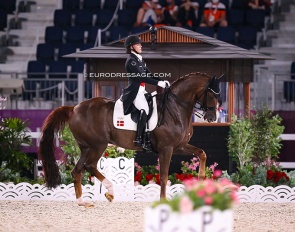 Galleria's Bohemian at the 2021 Tokyo Olympics where he finished fourth :: Photo © Astrid Appels