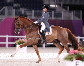 Sorento, the horse that took Jose Antonio Garcia Mena to his first Olympics in 2021 :: Photo © Astrid Appels
