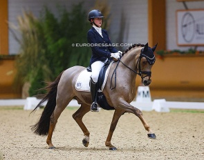 Maria-Teresa Pohl and Der Kleine Sunnyboy at the 2022 CDI Kronenberg Indoor :: Photo © Astrid Appels