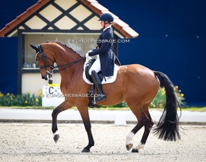 Nicole Wego-Engelmeyer and Citation at the 2023 CDI Hagen :: Photo © Astrid Appels