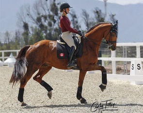 Mathilde Blais Tetreault schooling Fedor at the 2023 Pan American Games in Chile :: Photo © Cealy Tetley