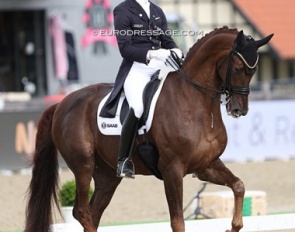 Patrik Kittel on Galleria’s Bohemian at the 2023 CDI Hagen in September :: Photo (c) Astrid Appels