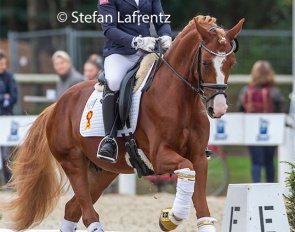 Michele Schulmerig and Der Kleine Champion at the 2020 Bundeschampionate :: Photo © Stefan Lafrentz
