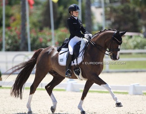 Anna Middelberg on Blickfang HC at the 2021 European Young Riders Championships :: Photo © Astrid Appels