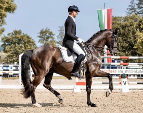 Marcus Hermes on Dante's Furst ANW :: Photo © Lisa Krieger