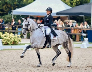 NorCordia's Vianne at the 2023 World Championships for young dressage horses in Ermelo. She is for sale at Cathrine Dufour's yard in Denmark