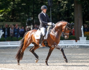 Matthias Bouten and Lord Nunes at the 2017 Bundeschampionate :: Photo © Stefan Lafrentz
