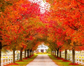 Hampton Green Farm in Fruitport, MI