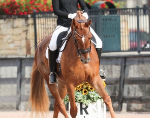 Virginia Woodcock on Mollegardens Sans-Souci at the 2023 CDN Tryon :: Photo © Sharon Packer