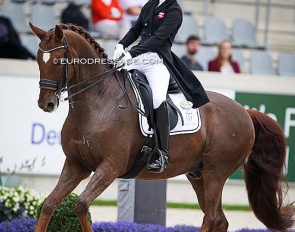 Sara Hyrm on Skovborgs Romadinov at the 2021 CDI-YR Aachen :: Photo © Astrid Appels