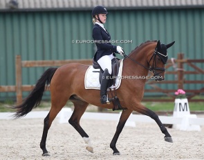 Amalie Ubbesen and Hamiltons I Did It My Way at the 2021 CDI Grote Brogel :: Photo © Astrid Appels