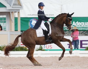 Jessica Howington and Cavalia at the 2022 CDI Wellington :: Photo © Astrid Appels
