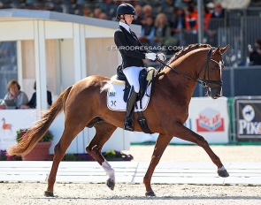 Hannah Laser and Damaschino at the 2021 World Young Horse Championships in Verden :: Photo © Astrid Appels