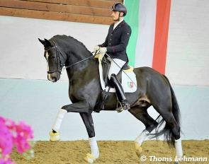 Manuel Springhetti on Diamantenglanz at the NRW stallion show in March 2024 :: Photo © Thoms Lehmann
