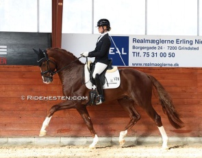 Mette Sejbjerg Jensen and Fifty-Fifty at a qualifier for the 2023 Danish Young Horse Championships :: Photo © Ridehesten