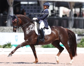 Anna Buffini and Davinia La Douce at the 2023 Palm Beach Derby CDI-W :: Photo © Astrid Appels