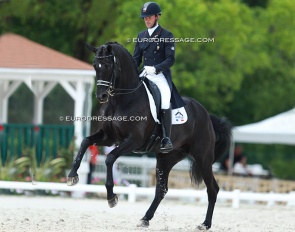 Marc Boblet and Noble Dream at the 2015 CDI Compiegne :: Photo © Astrid Appels