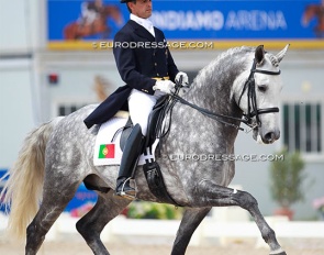 Miguel Ralao Duarte and Disturbio on their international show debut at the 2015 CDI Vilamoura :: Photo © Astrid Appels