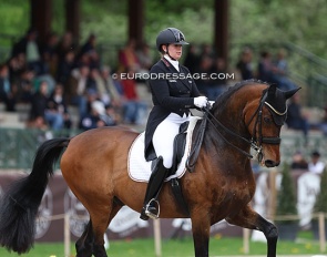 Evelyn Eger and Westminster in the FEI Nations' Cup at the 2023 CDIO Compiegne :: Photo © Astrid Appels