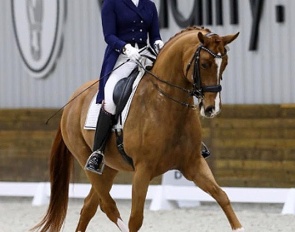Sarah Tubman and Balia at the 2023 CDI Ocala :: Photo © Sue Stickle