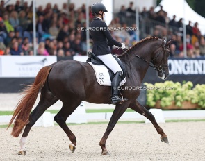 Stefanie Viehoff-Wolf on Bernadette Brune's San to Alati at the 2023 World YH Championships :: Photo © Astrid Appels